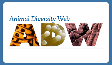 Animal Diversity Web
